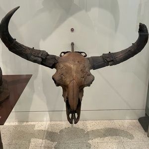 Meet your Posher, Elijah